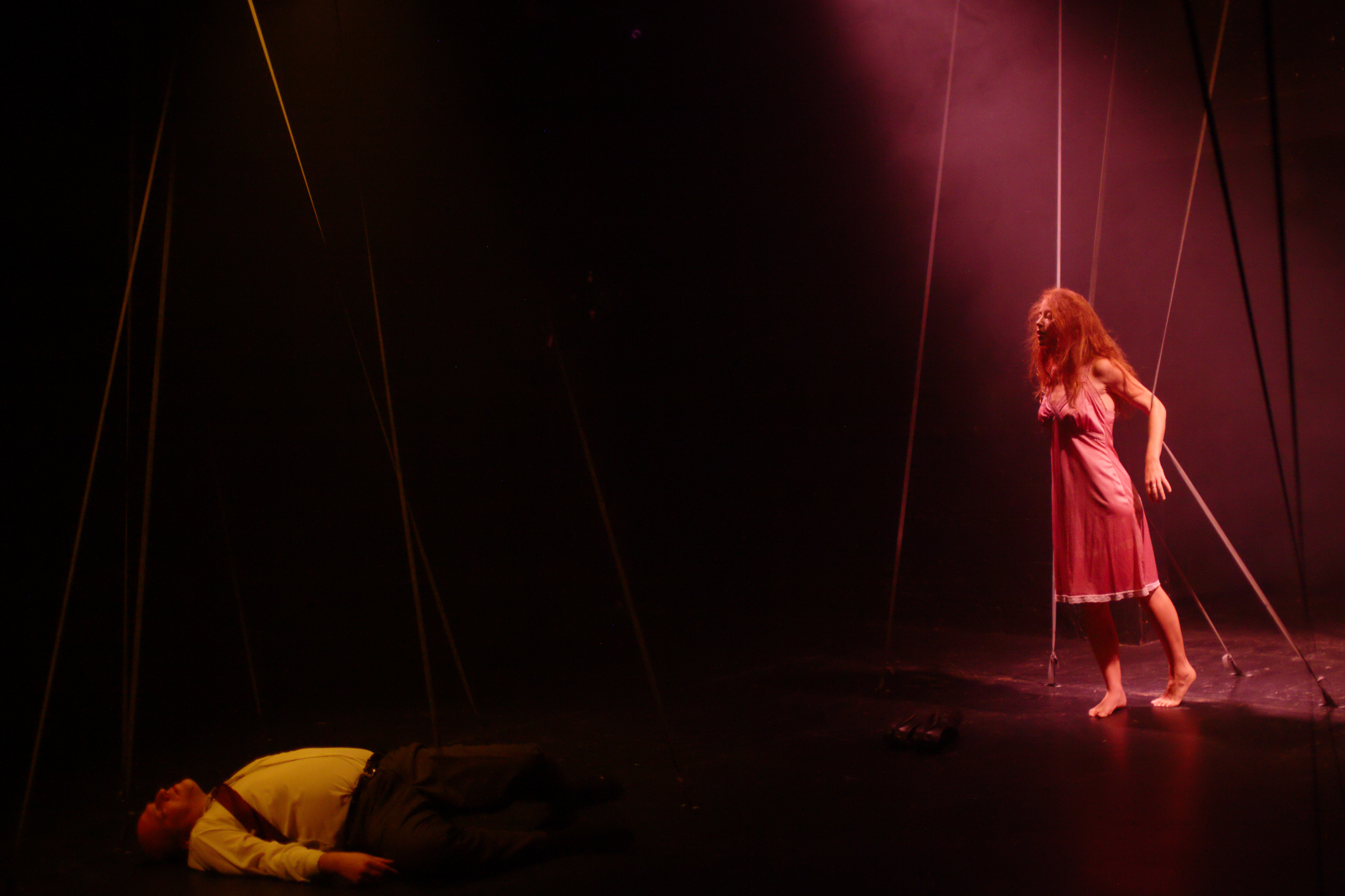 Dana Tsarfaty Street Dog